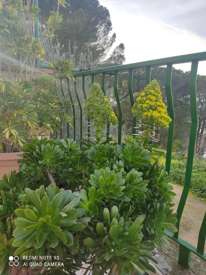 B&B Borgo Pileri Mazzarino 外观 照片