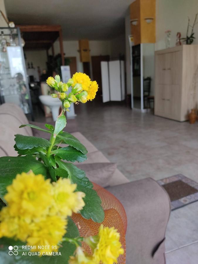 B&B Borgo Pileri Mazzarino 外观 照片